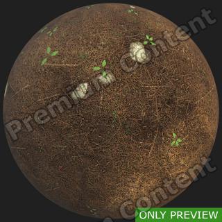 PBR substance preview forest ground 0002